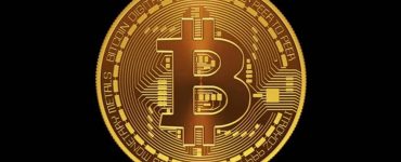 Bitcoin, Shiba Inu и Dogecoin — самые популярные криптовалюты 2022 года